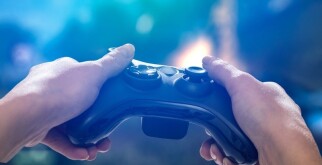 Медоеды: невероятные хищники с характером!