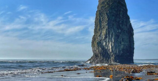 Кунашир: неизведанный остров в объективе медиапроектов