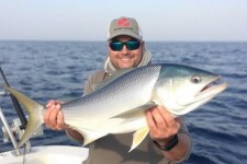 Рыбалка в Красном море: виды и лучшие места для настоящих ценителей
