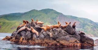 Безногие земноводные: Природа, так любящая загадки