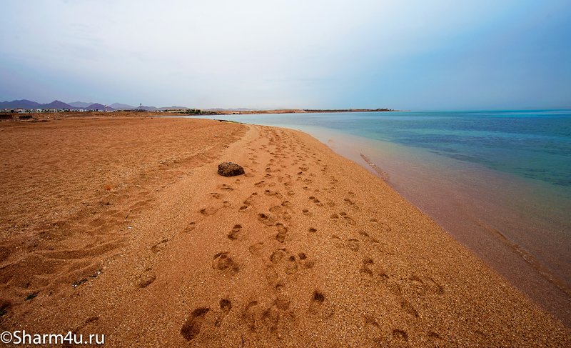 Дикий пляж в Шарм-эль-Шейхе (Монтаза) - вид в сторону отеля Sol Sharm и Cyrene