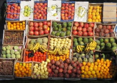 Когда и какие фрукты покупать в Египте: фрукты Египта по месяцам
